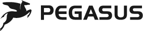 Pegasus Pegasus