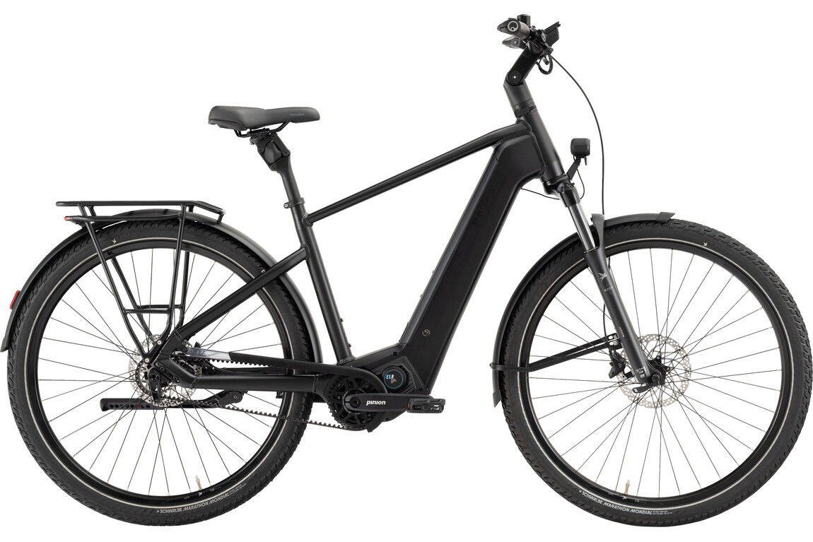 PEGASUS Estremo EVO 9 Lite Herren 9 Gang 800 Wh