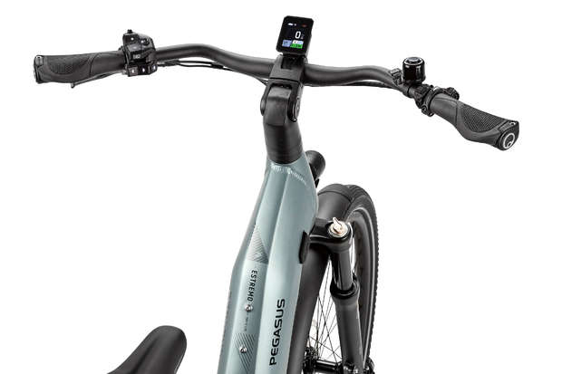 PEGASUS ESTREMO EVO 12 Lite 700 Wh  Pinion 12 Gang Damen TK